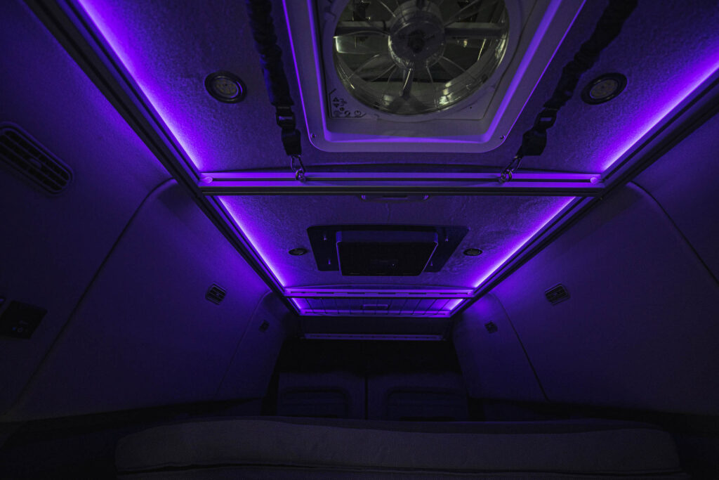 Violet Accent Lights (2 of 7)