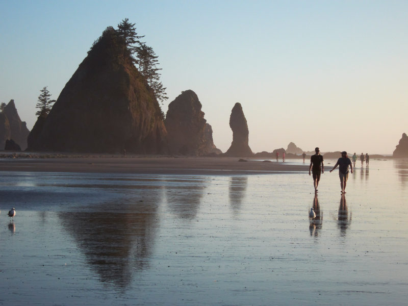 Pacific Northwest Campervan Beach Camping